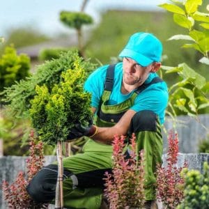 a person doing their job